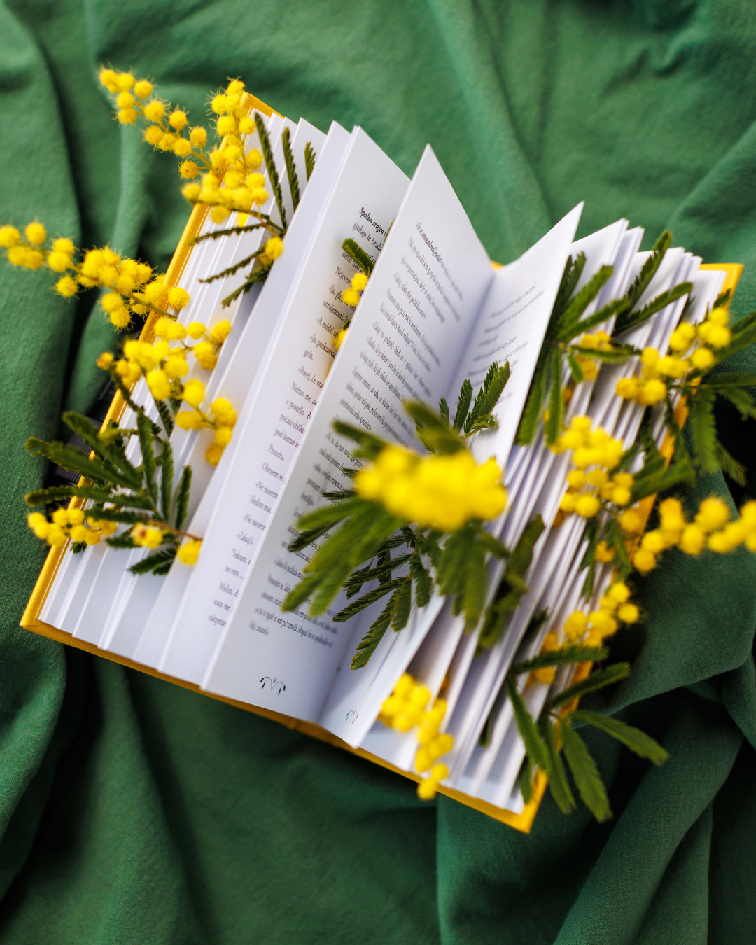 Najine erotične črtice 💛