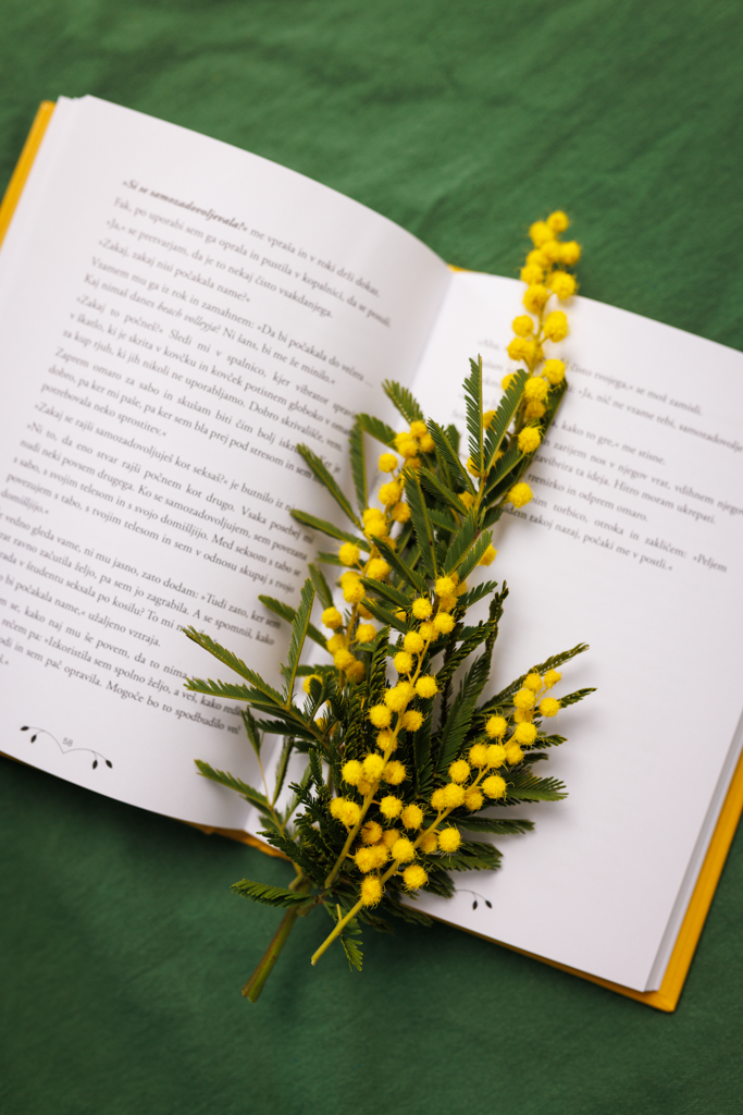 Najine erotične črtice 💛